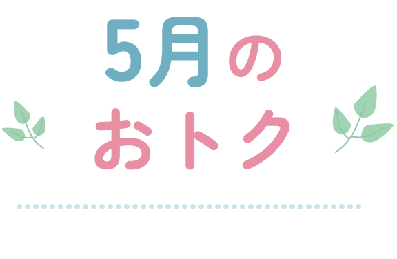 5月のおトク