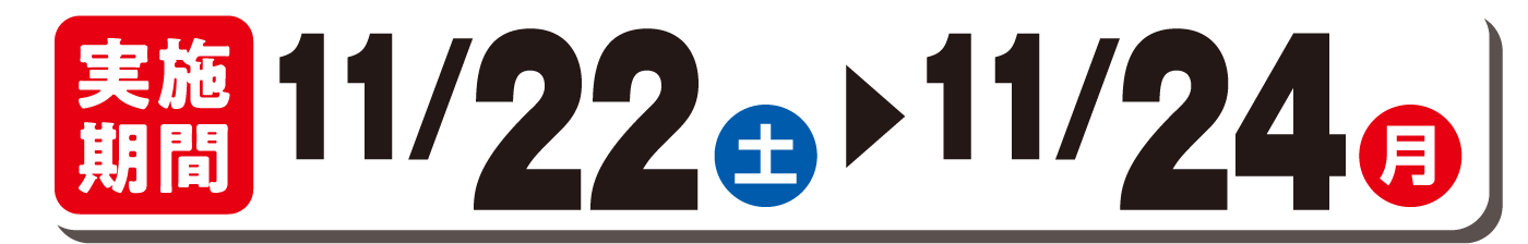 実施期間11/22(土)～11/24(月)