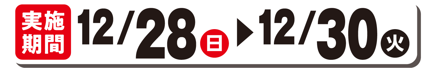 実施期間12/28(日)～12/30(火)