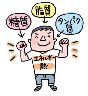 食事で体温が保たれるしくみ
