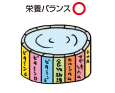 栄養バランス