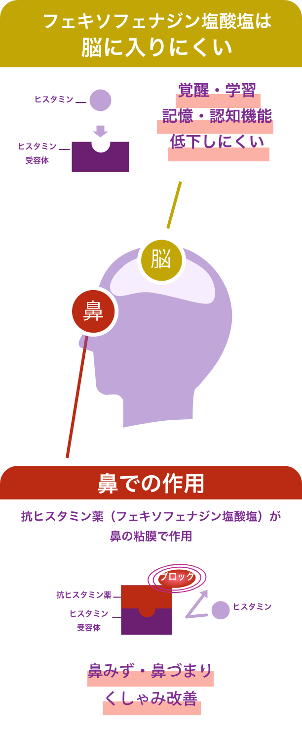“眠くなりにくい”抗ヒスタミン作用